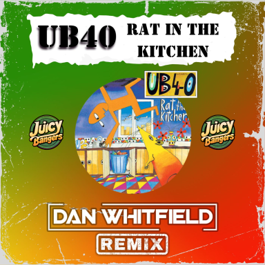 Rat In The Kitchen (Dan Whitfield Remix)
